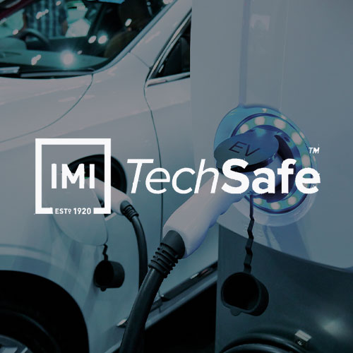 Specialist EV Trained Technicians